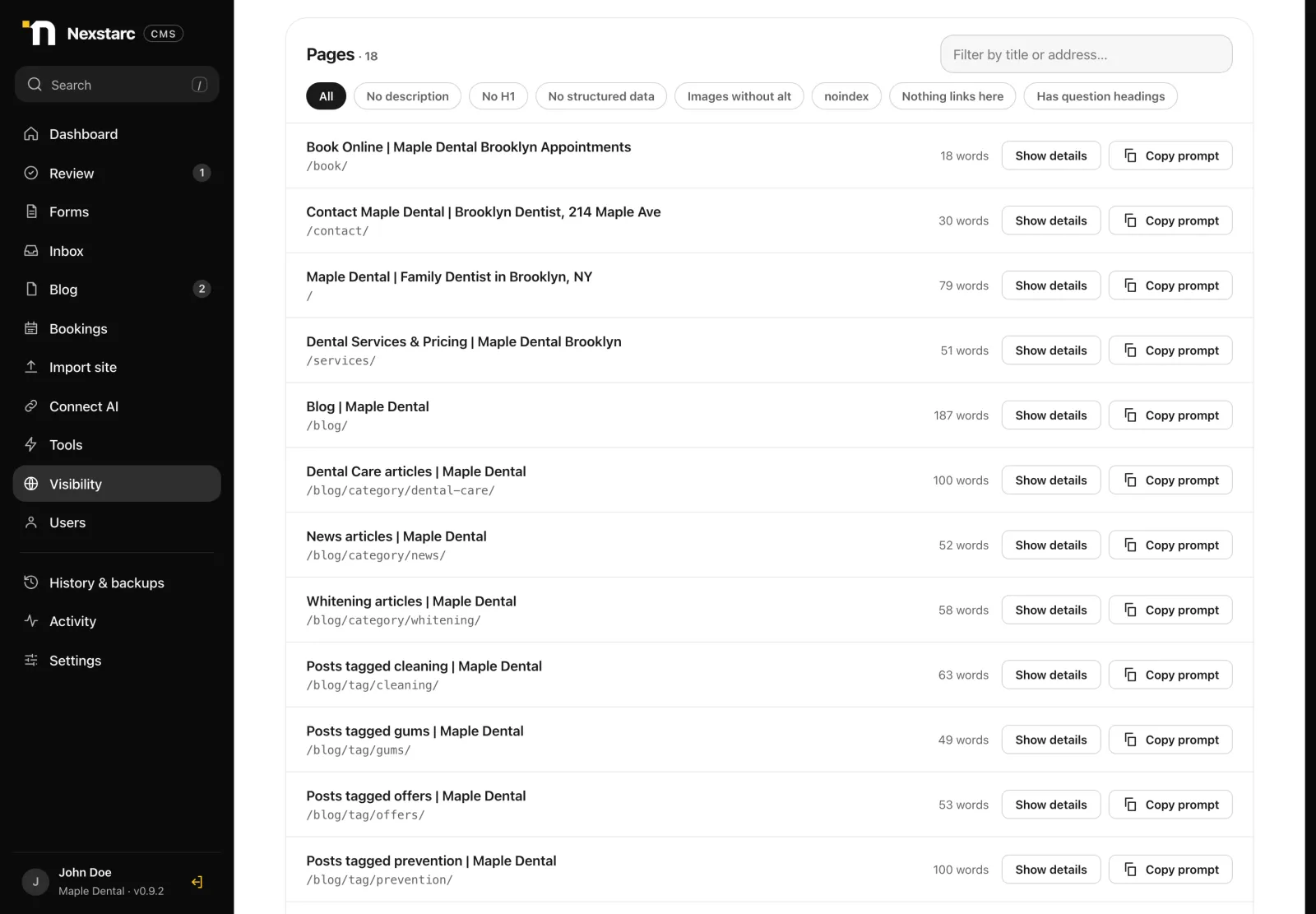 List of pages with Show details and Copy prompt buttons and filters such as no description or no H1